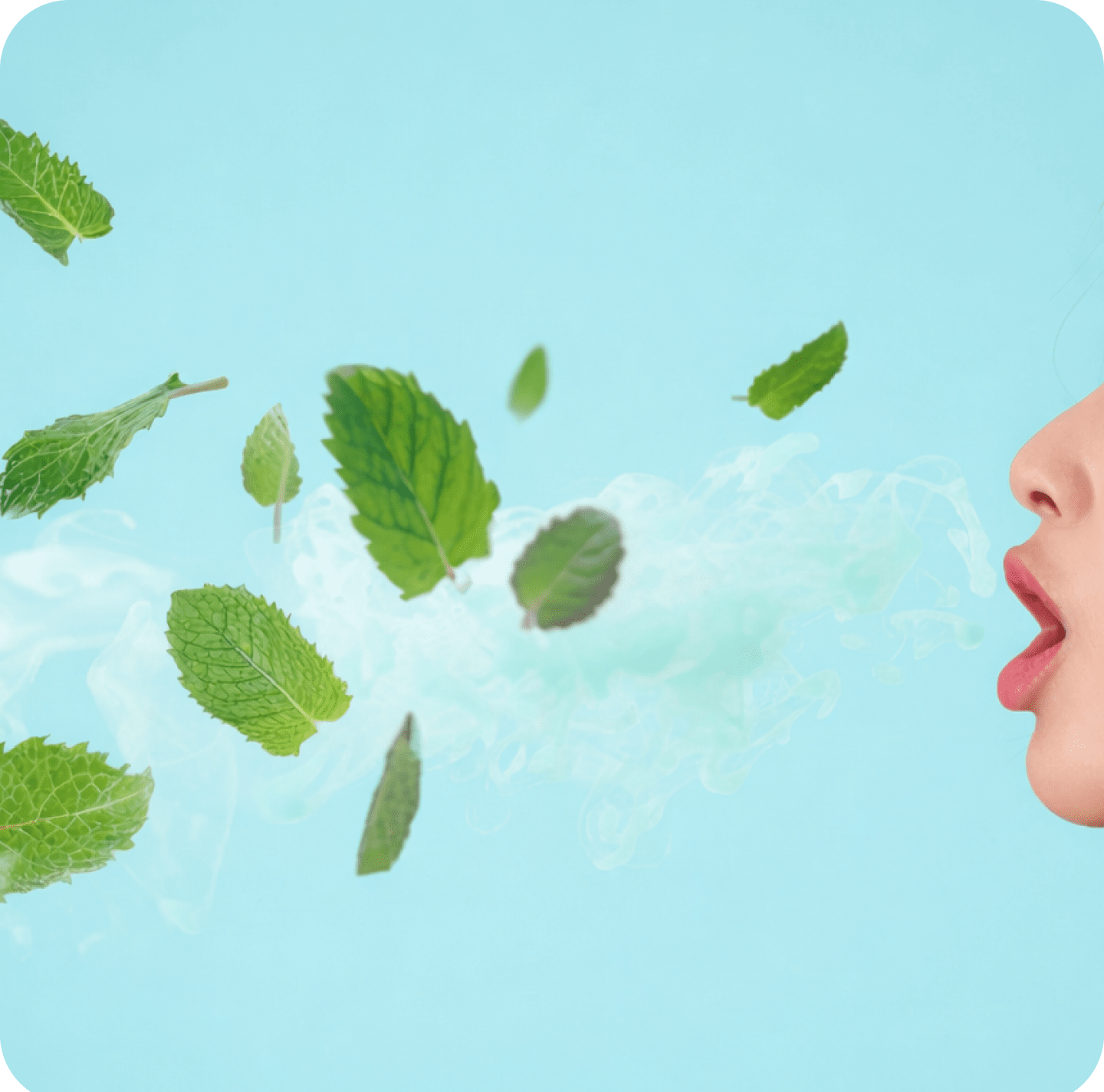 Fresh breath